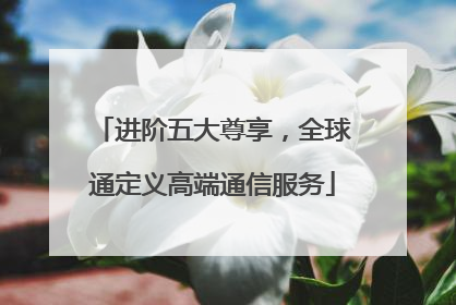 进阶五大尊享，全球通定义高端通信服务