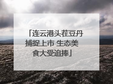 连云港头茬豆丹捕捉上市 生态美食大受追捧
