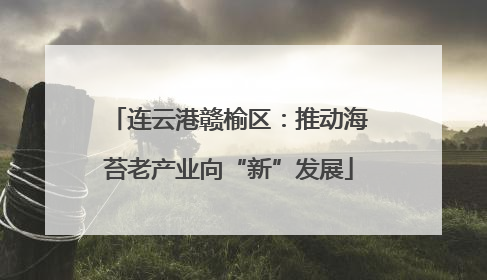 连云港赣榆区：推动海苔老产业向“新”发展
