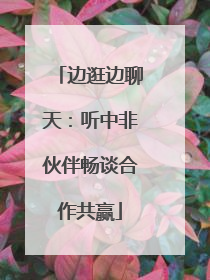 边逛边聊天：听中非伙伴畅谈合作共赢