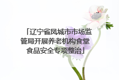 辽宁省凤城市市场监管局开展养老机构食堂食品安全专项整治