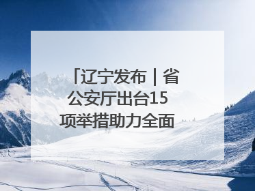 辽宁发布｜省公安厅出台15项举措助力全面振兴新突破三年行动决胜之战