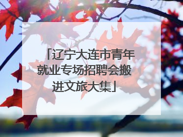 辽宁大连市青年就业专场招聘会搬进文旅大集
