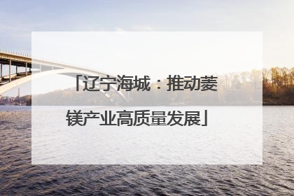 辽宁海城：推动菱镁产业高质量发展