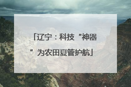 辽宁：科技“神器”为农田夏管护航