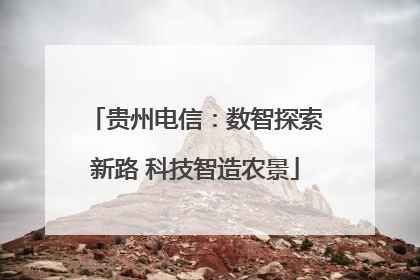 贵州电信：数智探索新路 科技智造农景