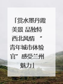 赏水墨丹霞美景 品独特西北风情 “青年城市体验官”感受兰州魅力