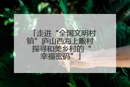 走进“全国文明村镇”庐山西海上畈村 探寻和美乡村的“幸福密码”