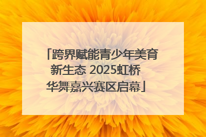 跨界赋能青少年美育新生态 2025虹桥华舞嘉兴赛区启幕
