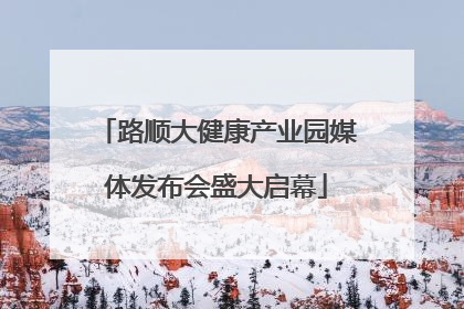 路顺大健康产业园媒体发布会盛大启幕