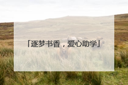 逐梦书香，爱心助学