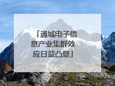 通城电子信息产业集群效应日益凸显