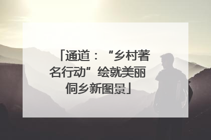 通道：“乡村著名行动”绘就美丽侗乡新图景