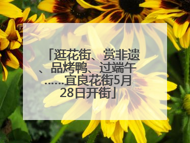 逛花街、赏非遗、品烤鸭、过端午……宜良花街5月28日开街