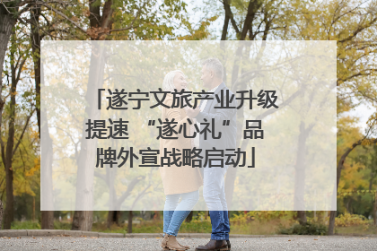 遂宁文旅产业升级提速 “遂心礼”品牌外宣战略启动