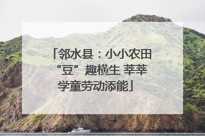 邻水县：小小农田“豆”趣横生 莘莘学童劳动添能