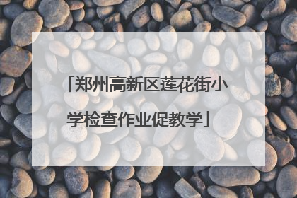 郑州高新区莲花街小学检查作业促教学
