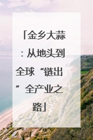 金乡大蒜：从地头到全球“链出”全产业之路