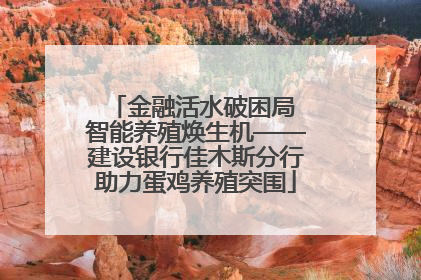 金融活水破困局 智能养殖焕生机——建设银行佳木斯分行助力蛋鸡养殖突围