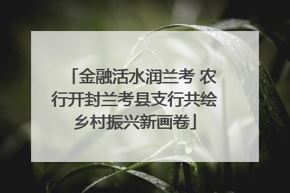 金融活水润兰考 农行开封兰考县支行共绘乡村振兴新画卷