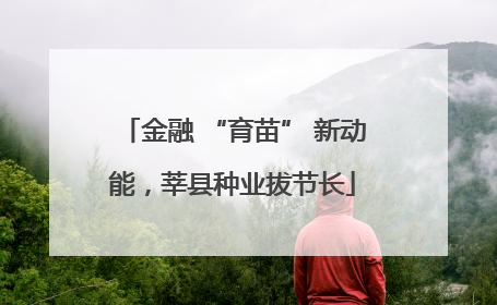 金融 “育苗” 新动能，莘县种业拔节长