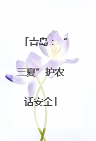 青岛：“三夏”护农话安全