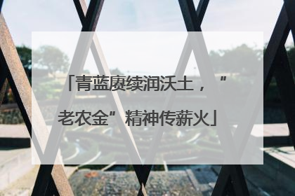 青蓝赓续润沃土，“老农金”精神传薪火