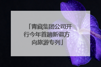 青藏集团公司开行今年首趟新疆方向旅游专列