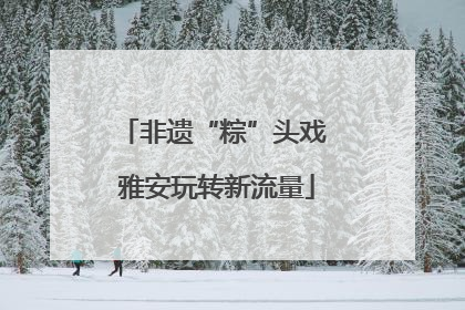 非遗“粽”头戏 雅安玩转新流量