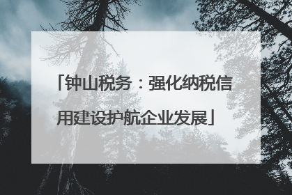 钟山税务：强化纳税信用建设护航企业发展