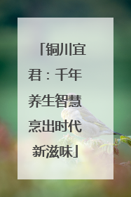 铜川宜君：千年养生智慧烹出时代新滋味