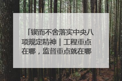 锲而不舍落实中央八项规定精神｜工程重点在哪，监督重点就在哪——广西深化政治监督护航平陆运河建设
