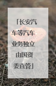 长安汽车等汽车业务独立 由国资委直管
