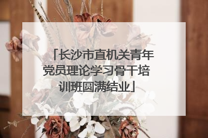 长沙市直机关青年党员理论学习骨干培训班圆满结业
