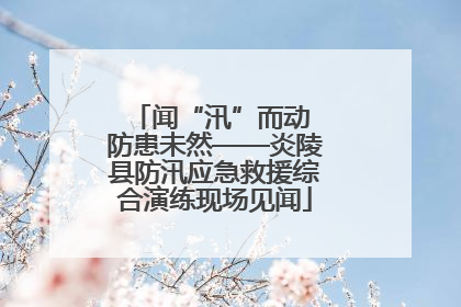 闻“汛”而动 防患未然——炎陵县防汛应急救援综合演练现场见闻