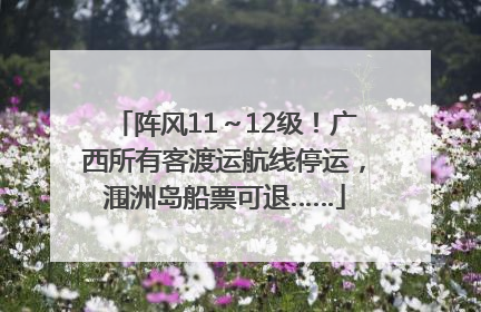 阵风11～12级！广西所有客渡运航线停运，涠洲岛船票可退……