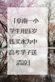 阜南一小学生用压岁钱买水为中高考学子送清凉