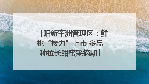 阳新率洲管理区：鲜桃“接力”上市 多品种拉长甜蜜采摘期