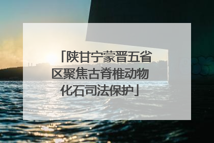 陕甘宁蒙晋五省区聚焦古脊椎动物化石司法保护