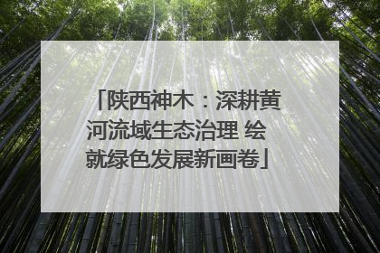 陕西神木：深耕黄河流域生态治理 绘就绿色发展新画卷