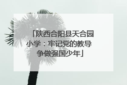 陕西合阳县天合园小学：牢记党的教导 争做强国少年