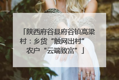 陕西府谷县府谷镇高梁村：乡货“触网出村” 农户“云端致富”