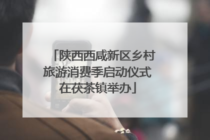陕西西咸新区乡村旅游消费季启动仪式在茯茶镇举办