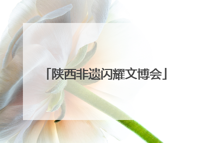 陕西非遗闪耀文博会