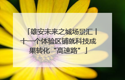 雄安未来之城场景汇丨十一个体验区铺就科技成果转化“高速路”