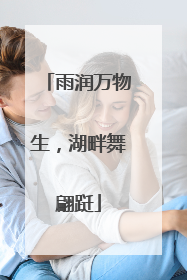 雨润万物生，湖畔舞翩跹