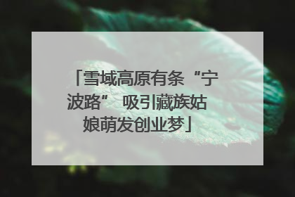 雪域高原有条“宁波路” 吸引藏族姑娘萌发创业梦