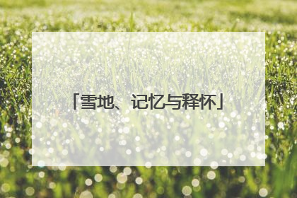 雪地、记忆与释怀