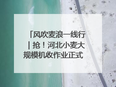 风吹麦浪一线行｜抢！河北小麦大规模机收作业正式拉开帷幕