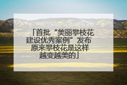 首批“美丽攀枝花建设优秀案例”发布 原来攀枝花是这样越变越美的